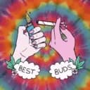 Stoner Corner 💨 18+ Community • Weed Emoji