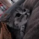 🎀﹙Zero Two﹚🎀 X  ݁˖ 🂡 Kurumi Best 🂡 ݁˖