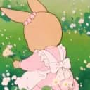 cottontail café