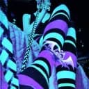 The Kennel 🐾 Findom 18+