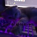 GamersHeaven