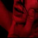 The Red Forest 18+