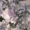 𑣲 @ilydolli ୨୧  .ᐟ