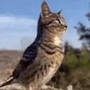 the /wreak school 🎄🎁