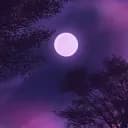 ⭐• UNENDING DREAM •⭐