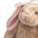 𑣲 @ilydolli ୨୧ .ᐟ