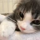 𝙷𝙴𝙻𝙷𝙴𝙸𝙼