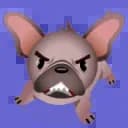 ʚ🐶 Chocomara