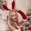 🌸༄ Sugar Zone™⢸