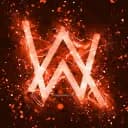 Alan Walker Fans